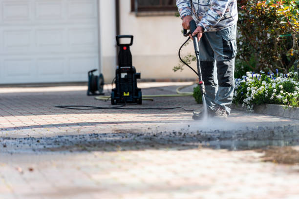 Best Local Pressure Washing Services  in Elmore, OH