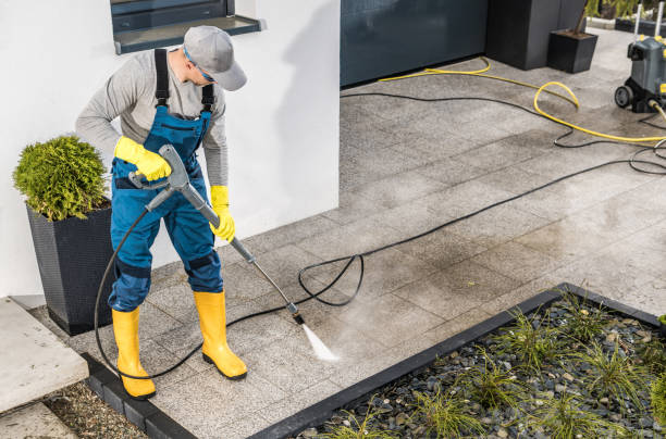 Best Pressure Washing Near Me  in Elmore, OH